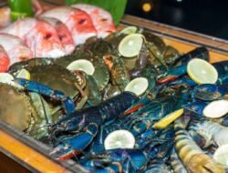 Sensasi All You Can Eat Seafood! Mercure Pontianak Luncurkan Buffet Dinner Terbaru “Taste of the Sea”