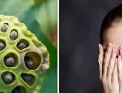 5 Fobia Unik yang Jarang Disadari, Mungkin Anda Mengalaminya?