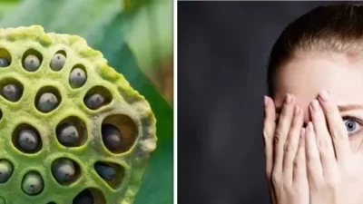 "Anda perfeksionis atau picky eater? Bisa jadi itu gejala fobia yang jarang disadari. Kenali 5 fobia unik seperti Atelophobia hingga Nomophobia."