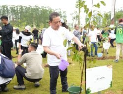 Gubernur Ria Norsan Tanam Pohon di IKN, Tegaskan Komitmen Pembangunan Hijau