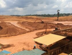 Ekonomi Kalbar Triwulan III-2025 Tumbuh 5,31 Persen, Sektor Tambang Melonjak 33,96 Persen