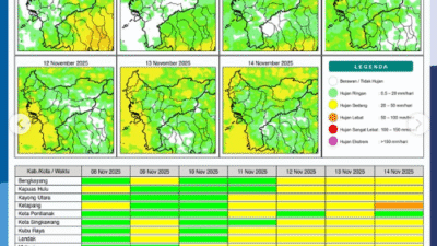 Infografis BMKG menunjukkan Peta Potensi Hujan Harian Kalimantan Barat untuk periode 8-14 November 2025. (Dok. BMKG Kalbar)