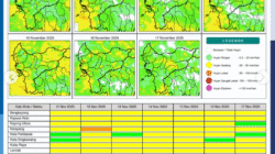Infografis potensi hujan harian di Kalimantan Barat untuk periode 11 hingga 17 November 2025. BMKG memprediksi hujan sangat lebat di Kapuas Hulu pada 11 November. (Dok. BMKG Kalbar)