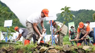 Kepala BNPB, Letjen TNI Suharyanto, saat melakukan penanaman bibit pohon alpukat di kawasan Swiss van Java, Wonosobo, sebagai bagian dari mitigasi vegetasi DAS kritis, Jumat (21/11/2025).