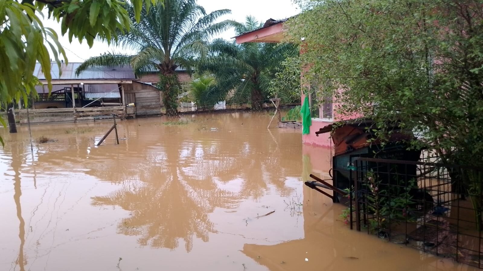 Kondisi banjir yang melanda wilayah Kabupaten Aceh Jaya, Provinsi Aceh pada Selasa (4/11). Sumber Foto: BPBD Kabupaten Aceh Jaya