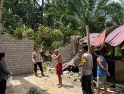 Niat Perbaiki Listrik Warga, Teknisi di Parindu Tewas Tertimpa Pohon Tumbang