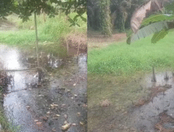 Ratusan Miliar Anggaran PUPR Kalbar Diduga Hanya untuk ‘Bersih Parit’