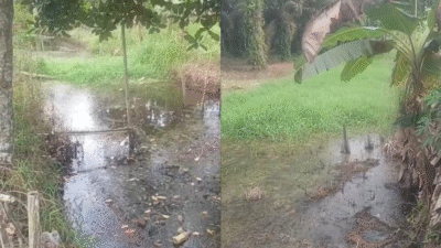 Kondisi salah satu lokasi pekerjaan normalisasi saluran di Desa Rasau Jaya 1, Kabupaten Kubu Raya. Tidak terlihat adanya pengerukan signifikan