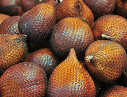 4 Manfaat Buah Salak yang Jarang Disadari, Baik untuk Mata dan Otak