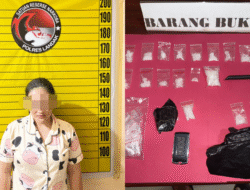 Simpan Belasan Paket di Lemari, Wanita Terduga Pengedar Sabu di Ngabang Diringkus Polres Landak