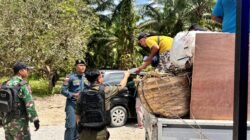 "Tim gabungan Indonesia-Malaysia berhasil menggagalkan penyelundupan 257 tanduk rusa dan tanaman ilegal lainnya dalam operasi di perbatasan Jagoi Babang-Serikin."