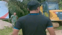 Seorang personel TNI bersiaga di area PT Borneo Ketapang Permai (PT BKP) saat mediasi sengketa lahan dengan warga Desa Sungai Ilai, Kecamatan Beduai, Sanggau, Jumat (14/11/2025). Pengamanan dilakukan untuk memastikan situasi tetap kondusif.