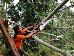 Cuaca Ekstrem Terjang Pamekasan, Puluhan Rumah Serta Fasilitas Pendidikan dan Ibadah Rusak