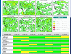 Prakiraan Cuaca Kalbar Hari Ini: 8 Kabupaten Berstatus Waspada Hujan Sedang Disertai Petir