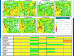 Prakiraan Cuaca Kalbar 21 November: Hujan Petir dan Angin Kencang Berpotensi Terjadi Seharian