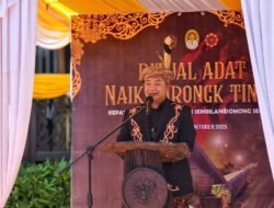 Gelar Tradisi Naik Jurung Tinggi, Bupati Ketapang: Dari Lumbung Padi Jadi Lumbung Persaudaraan