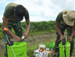 Kemenhan-TNI Implementasikan Arahan Prabowo, Perkuat Ketahanan Pangan di Merauke