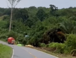 Satu Truk Dilaporkan Masuk Jurang di Jalan Lintas Balai Semandang