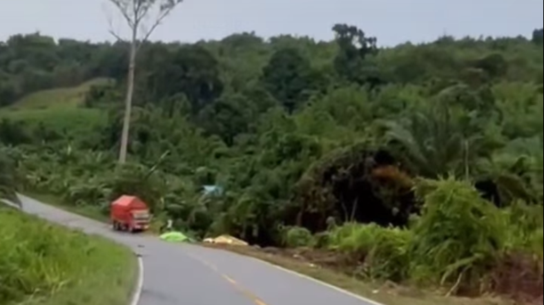 Sebuah truk yang terperosok dan masuk ke jurang di ruas jalan lintas Balai Semandang, dekat Simpang 2. (Dok. Ist)