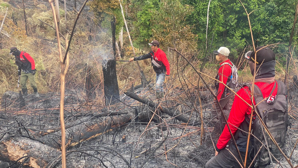 Petugas Manggala Agni sedang berupaya memadamkan kebakaran hutan dan lahan (karhutla) di kawasan TWA Gunung Melintang. (Dok. HO/Faktakalbar.id)