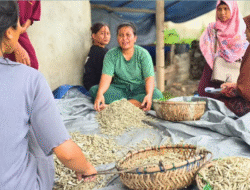 DKP Kalbar Petakan Kebutuhan Bahan Baku Perikanan di Kepulauan Karimata