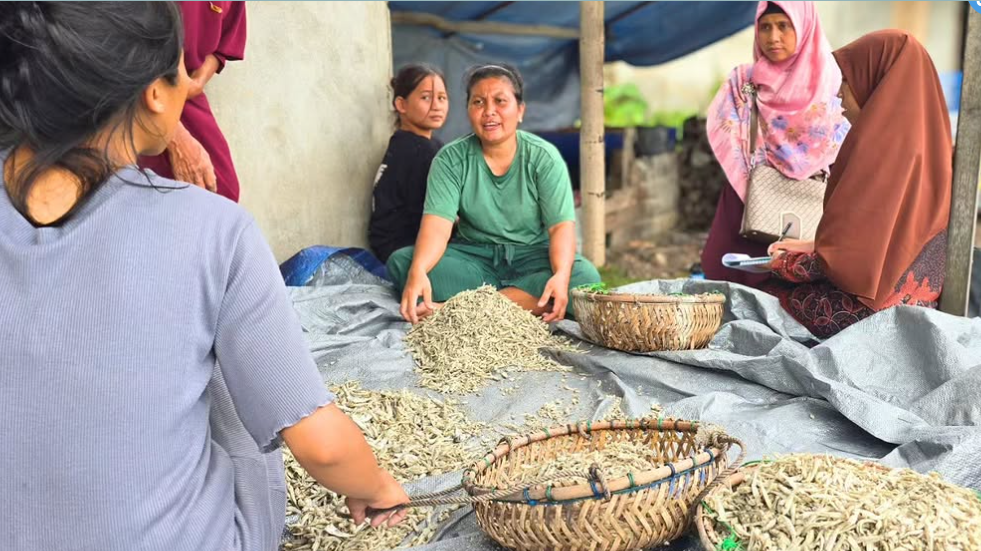 petugas DKP Kalbar sedang berdiskusi dengan nelayan atau pelaku usaha perikanan di Desa Pelapis, Kepulauan Karimata. (Dok. Instagram/@dkp.prov.kalbar)