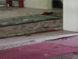 Ledakan Sound System Masjid SMAN 72 Saat Sholat Jumat, 20 Orang Terluka