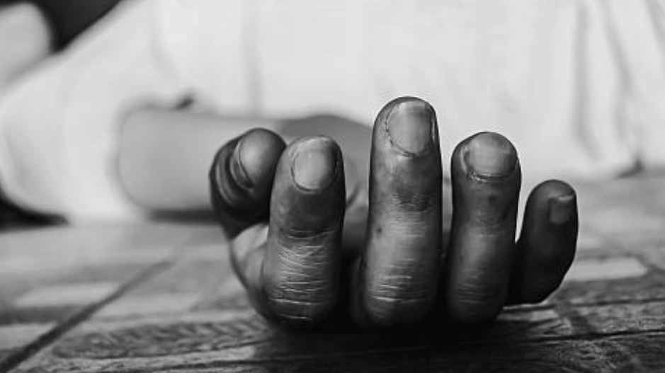 Ilustrasi lokasi kebun tempat lansia (KI) ditemukan meninggal dunia tergantung di pohon di Embaloh Hulu, Kapuas Hulu. (Dok. Ilustrasi/Faktakalbar.id)