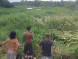 Sungai Kuala Simpang ‘Hilang’ Ditelan Gulma, Jalur Motor Air Putus Total