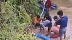 Seorang penambang emas ilegal di Desa Jake, Kuansing, tewas tertimpa pohon kelapa saat beraktivitas. Kasat Reskrim Polres Kuansing janji usut tuntas.