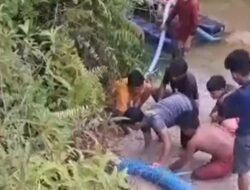 Insiden di Tambang Ilegal Simpang Serosah, Satu Penambang Meninggal Dunia Tertimpa Pohon