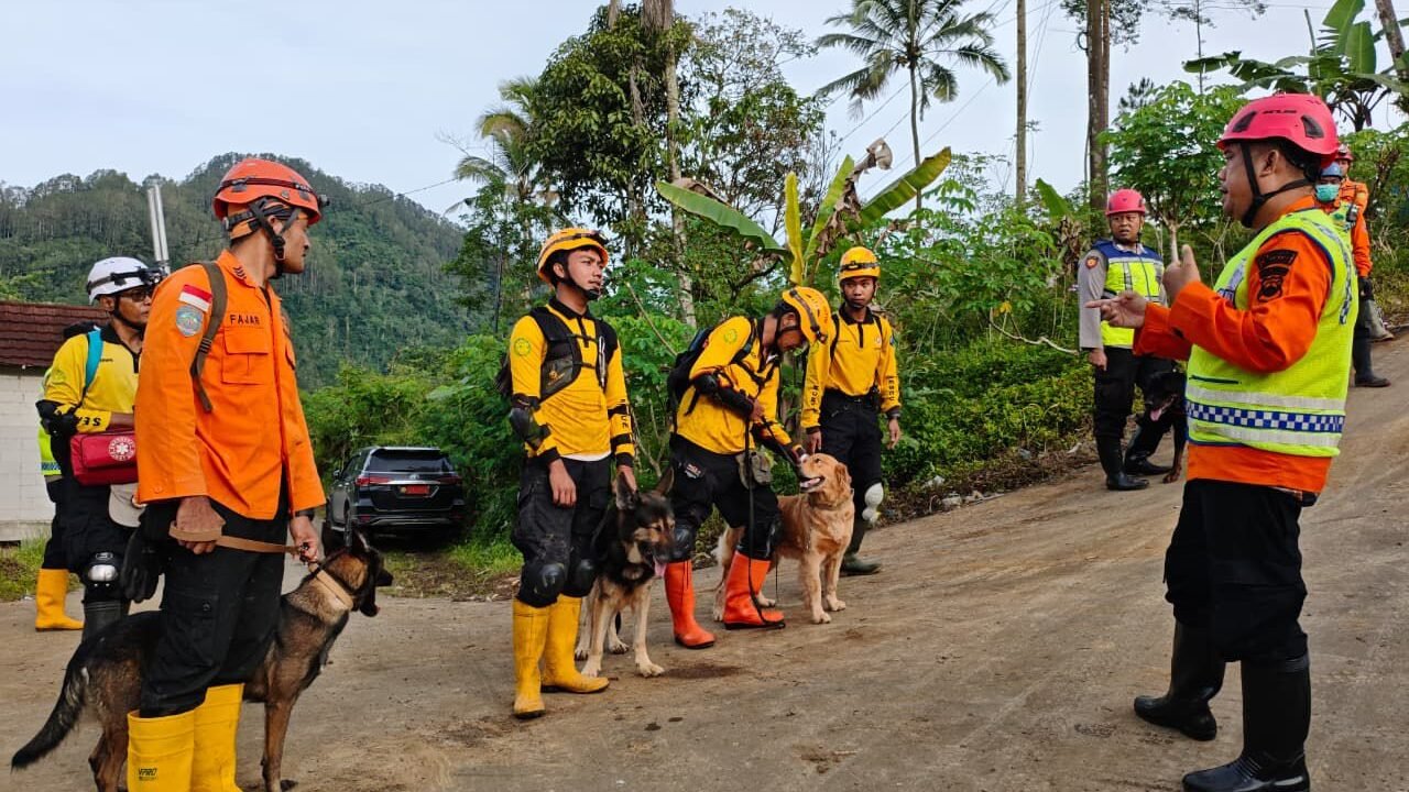 Tim pencarian dan pertolongan anjing pelacak K-9 melaksanakan apel pagi sebelum melakukan operasi SAR di lokasi tanah longsor Desa Pandanarum, Kecamatan Pandanarum, Kabupaten Banjarnegara, Jawa Tengah, Rabu (19/11).