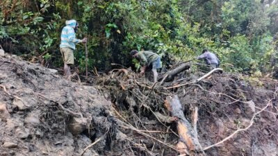 Petugas dibantu warga melakukan pencarian korban hilang akibat banjir di Kabupaten Nduga, Papua Pegunungan pada Sabtu (1/11).