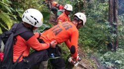 Tim SAR gabungan saat melakukan pencarian korban bencana tanah longsor di Desa Pandanarum, Kabupaten Banjarnegara, Senin (17/11/2025).