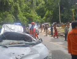 Angin Kencang Terjang Parigi Moutong, Satu Warga Tewas Tertimpa Pohon