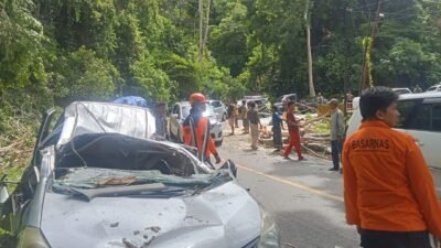Tim gabungan BPBD dan TNI/Polri saat mengevakuasi pohon tumbang yang diakibatkan angin kencang di Desa Toboli Barat, Parigi Moutong, Selasa (4/11/2025).