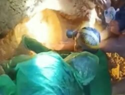 Seorang Pria di Tayan Hilir Tewas Tertimbun Longsor