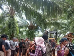 Yayasan Genesis Desak Pemerintah Cabut Izin PT ABS Buntut Penembakan Lima Petani Pino Raya