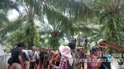 Yayasan Genesis desak aparat usut tuntas kasus penembakan petani Pino Raya oleh keamanan PT ABS. Lima korban luka tembak, konflik agraria jadi pemicu utama.
