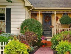 Terapi Jiwa Paling Murah: Ini 5 Alasan Kenapa Berkebun Bikin Hidup Lebih Bahagia