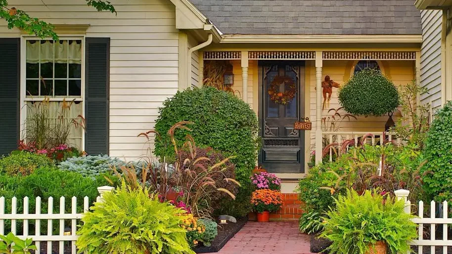 "Merasa stres dan butuh healing? Jangan jauh-jauh, cobalah ke halaman rumah. Simak 5 alasan ilmiah dan psikologis kenapa berkebun ampuh menciptakan kebahagiaan alami."