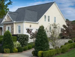 Bye-Bye Hiruk Pikuk! Ini 5 Alasan Gen Z Lebih Bahagia Tinggal Jauh dari Pusat Kota