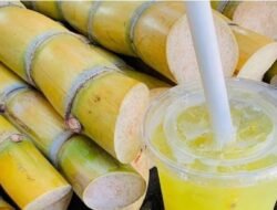 Segar tapi Waspada! Ini 4 Bahaya Minum Es Tebu Sembarangan bagi Kesehatan