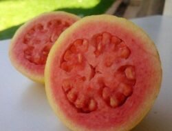 Sariawan Tak Kunjung Sembuh? Coba Rutin Konsumsi 5 Buah Pereda Nyeri Ini