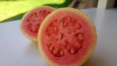 "Sariawan bikin malas makan? Atasi dengan 5 buah pereda sariawan yang enak dan lembut di mulut ini. Kaya vitamin dan ampuh mempercepat penyembuhan tanpa rasa perih."