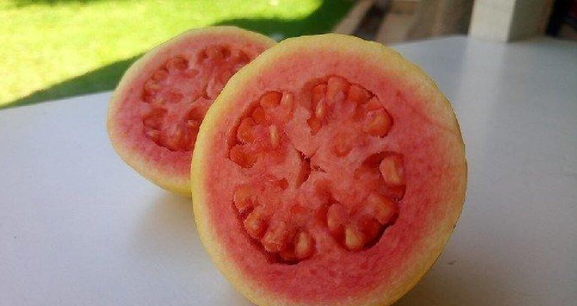 "Sariawan bikin malas makan? Atasi dengan 5 buah pereda sariawan yang enak dan lembut di mulut ini. Kaya vitamin dan ampuh mempercepat penyembuhan tanpa rasa perih."