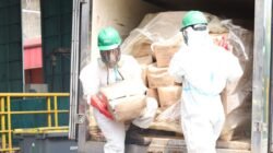 "KLH pastikan proses pemusnahan 5 ton udang Cesium-137 di PPLI Bogor aman. Sisa abu pembakaran akan disolidifikasi dengan beton sebelum ditimbun."