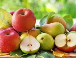 Lapar di Jam Tanggung? Ini 5 Cemilan Penahan Lapar yang Bikin Kenyang Lebih Lama