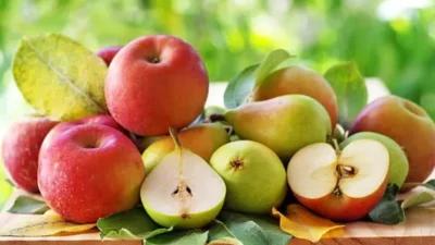 "Sering kelaparan di sela jam makan? Jangan asal pilih! Simak 5 rekomendasi cemilan penahan lapar yang sehat, tinggi serat, dan ampuh tunda perut keroncongan."