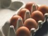 Ramai di Medsos: Benarkah Makan Telur Setiap Hari Menyebabkan Bisulan? Ini Fakta Medisnya